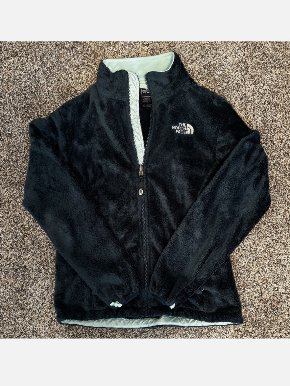 The North Face green Teddy Fleece Jacket small euc